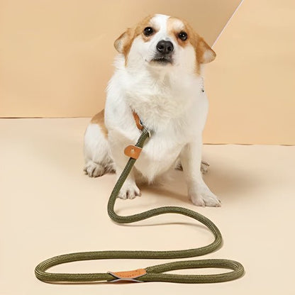 laisse pour chien pawgrip caroussel