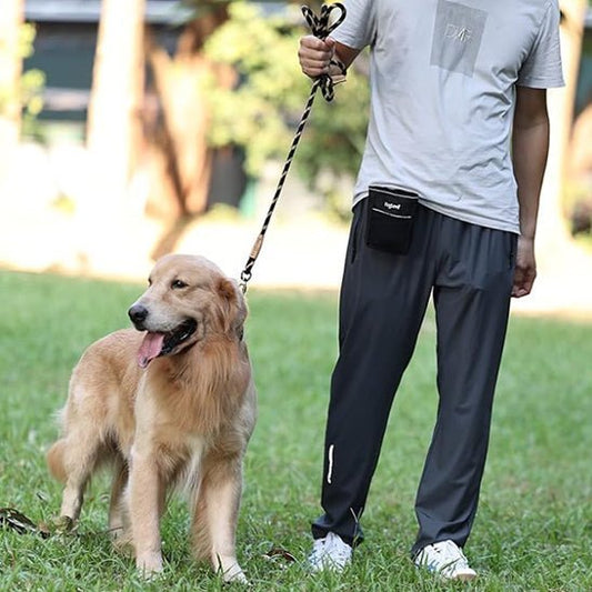 laisse pour chien tressado golden