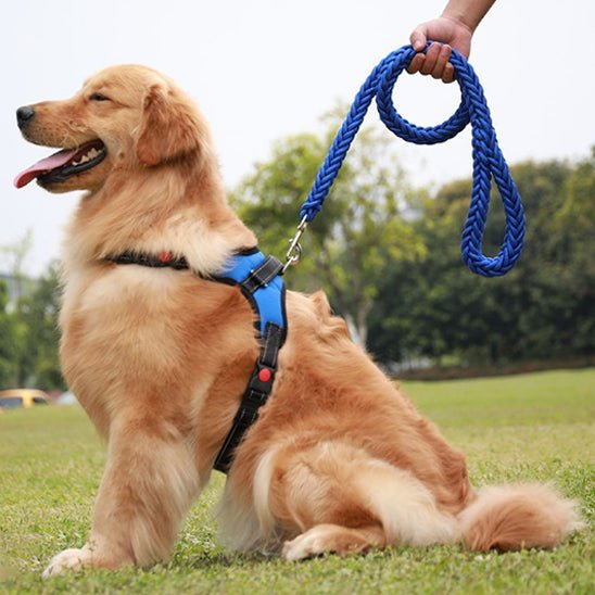 laisse pour chien tresspaw bleu dressage