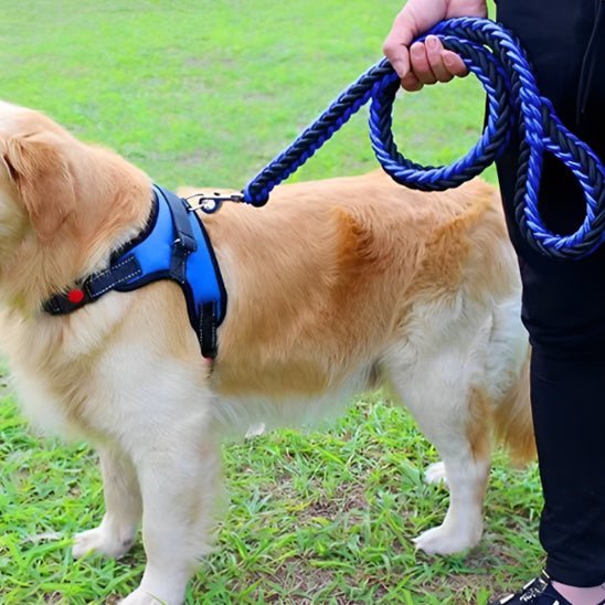 laisse pour chien tresspaw bleu