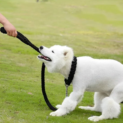 laisse pour chien tresspaw noir solide