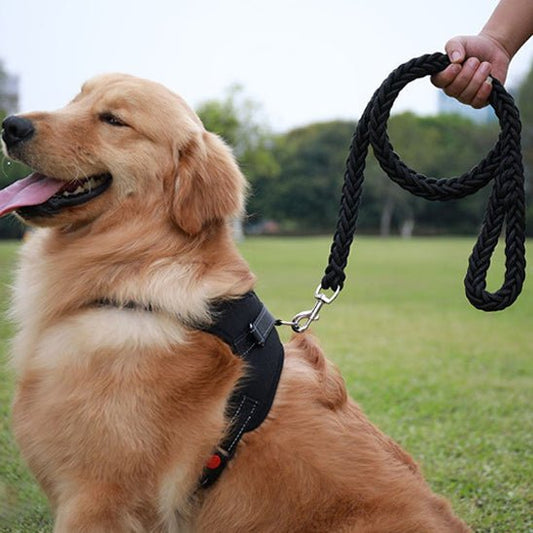laisse pour chien tresspaw noir