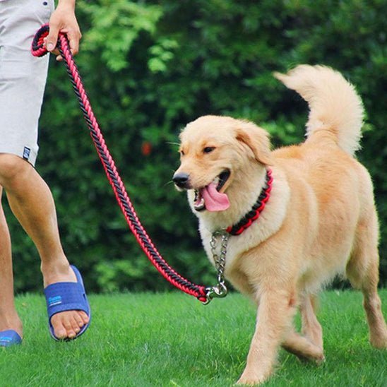 laisse pour chien tresspaw rouge
