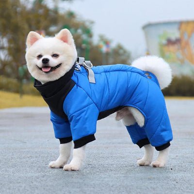 manteau chien breezedog bleu confortable