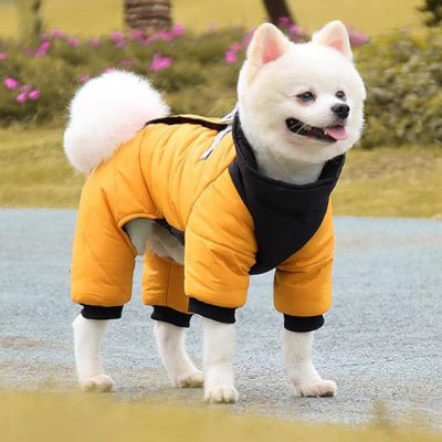 manteau chien breezedog jaune