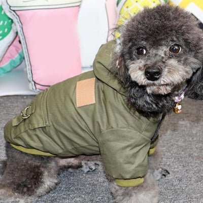 manteau chien minifluff chic