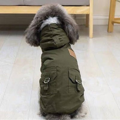 manteau chien minifluff detail
