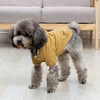 manteau chien minifluff kaki