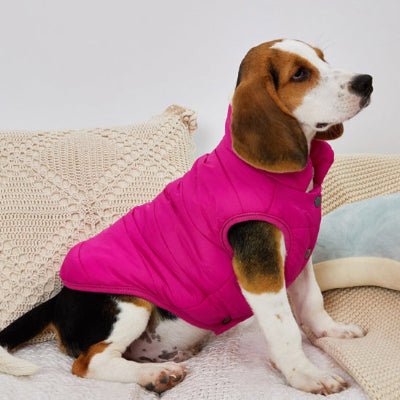 manteau chien snugpaw rose face