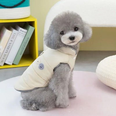manteau petit chien WinterChou kaki