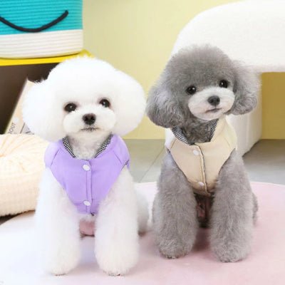 manteau petit chien WinterChou violet kaki caroussel