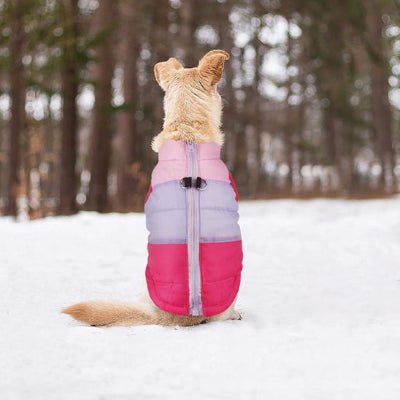 manteau petit chien lovecoat rose
