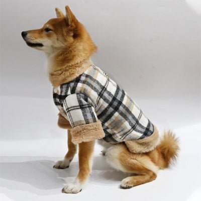manteau pour chien chicfit