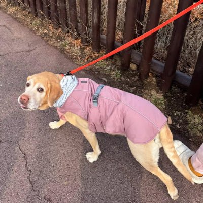 manteau pour chien fallcoat rose promenade