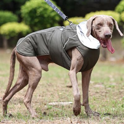 manteau pour chien fallcoat vert promenade