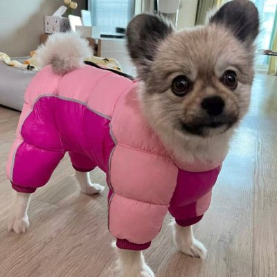 manteau pour chien hiverno rose petit chien