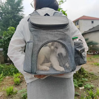 sac a dos pour chien pawpack promenade