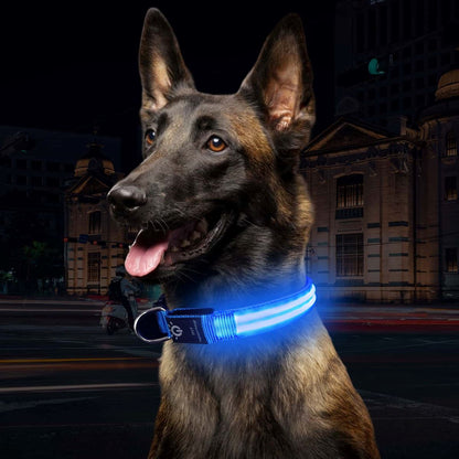 Collier Chien Lumineux - LEDCollarDog™ - Bleu